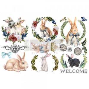 Transfer Cottontail 3/1