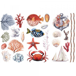 Transfer Amazing Sea Life 3/1