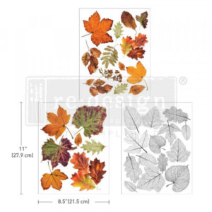 Transfer Redesign Crunchy Leaves Forever 3/1
