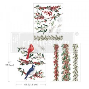 Transfer Redesign Winterberry 3/1