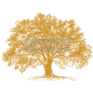 Redesign Kacha Growth